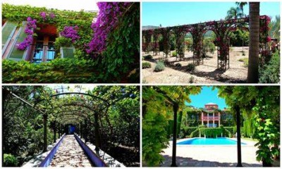 EXCURSION DEL DIA AL JARDIN DE LA ALBARDA Y DENIA 