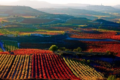ESPECIAL LA RIOJA  . BUS COMPLETO