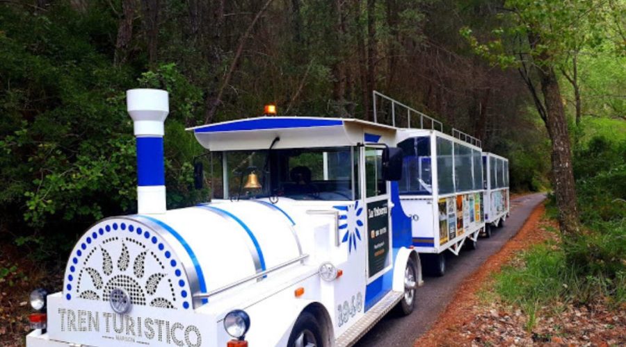 EXCURSION A MONTANEJOS CON TREN TURISTICO 
