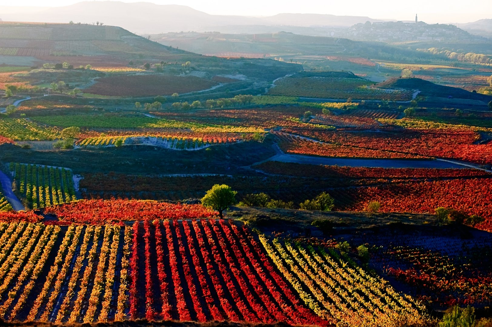 LA RIOJA . TIERRAS CON NOMBRE DE VINO.
